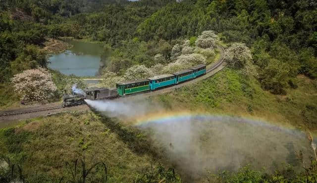 准备好了吗？网红小火车花季之旅鸣笛启航……