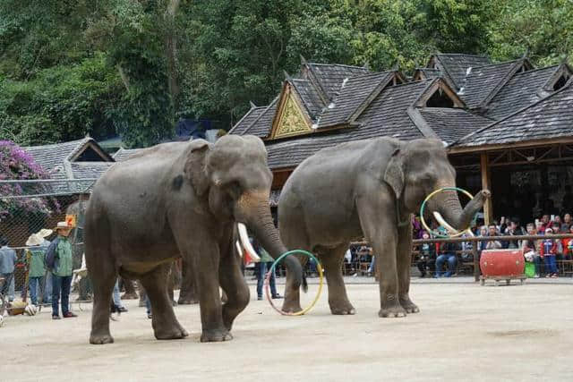 11月旅行建议，让你看到秋天的颜色！