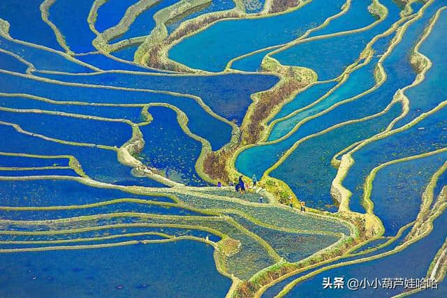 二月适合旅游的地方