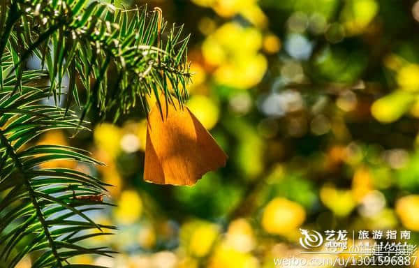 11月最佳旅行目的地，错峰出游，省更多！