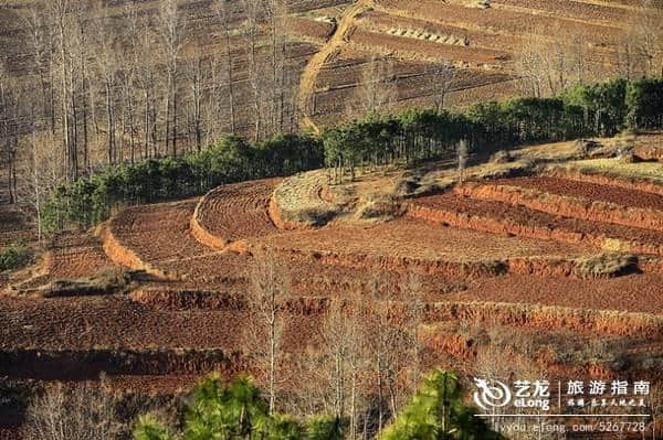 11月最佳旅行目的地，错峰出游，省更多！