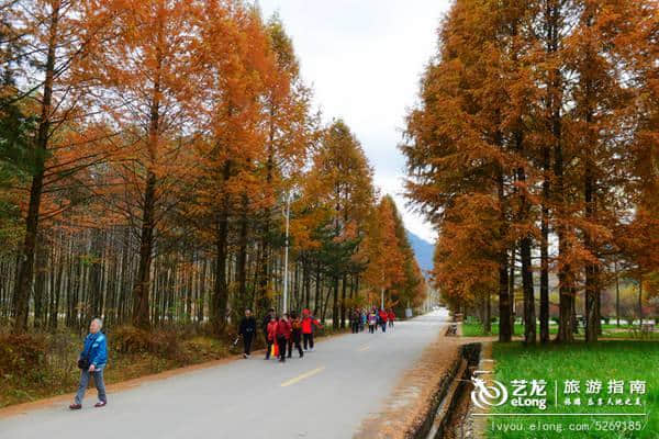 11月最佳旅行目的地，错峰出游，省更多！