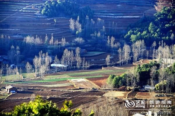 11月最佳旅行目的地，错峰出游，省更多！