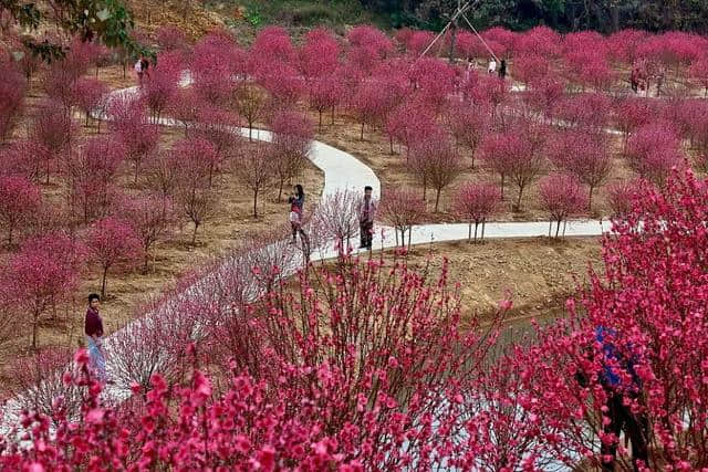 二月最佳旅行目的地推荐 初春旅行赶快约起来~