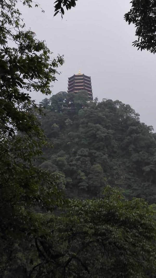 8月四川游——青城山快乐游