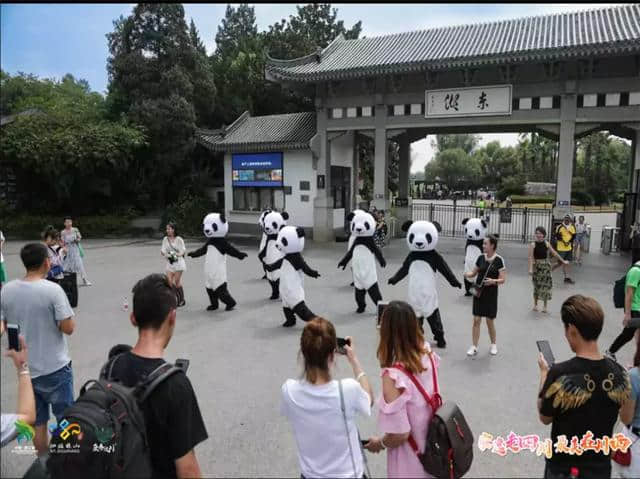 安逸走四川，醉美在川西 | 四川精品旅游走廊线路推介会在武汉成功举办！