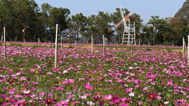 期待吧！文山州今年要建一批主题公园 汽车旅游营地……