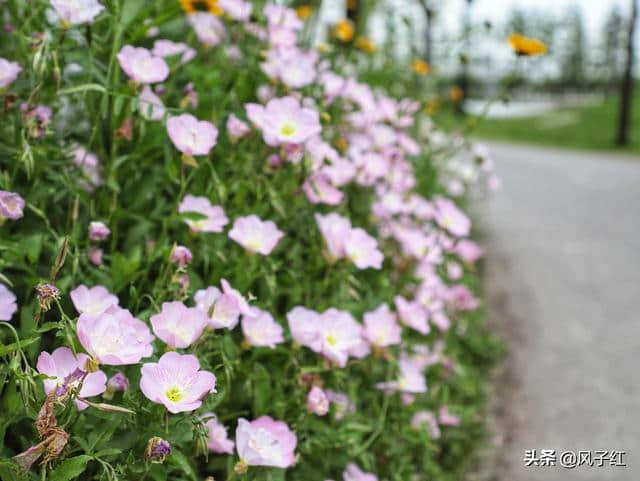 去乌镇旅游住在哪？给你一个不一样的乌镇玩法！