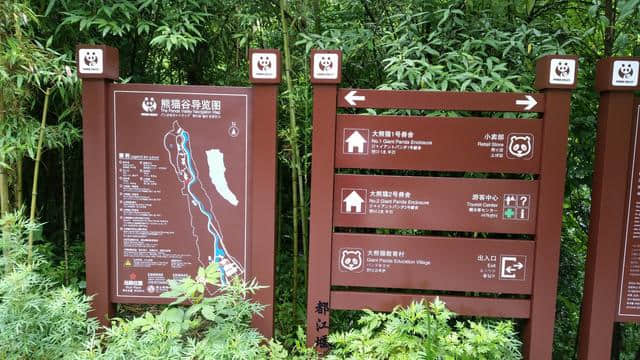 都江堰青城山最完全攻略！（含到达交通及前后山登山路线）