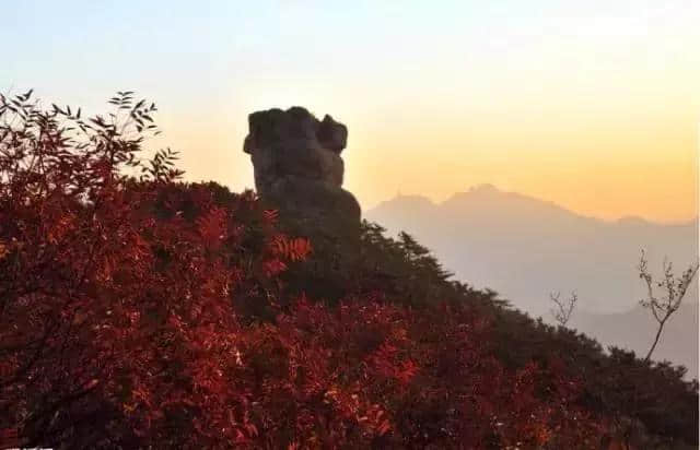 刚刚！崂山景区降价了！7月16日起执行！（附最全游览攻略）