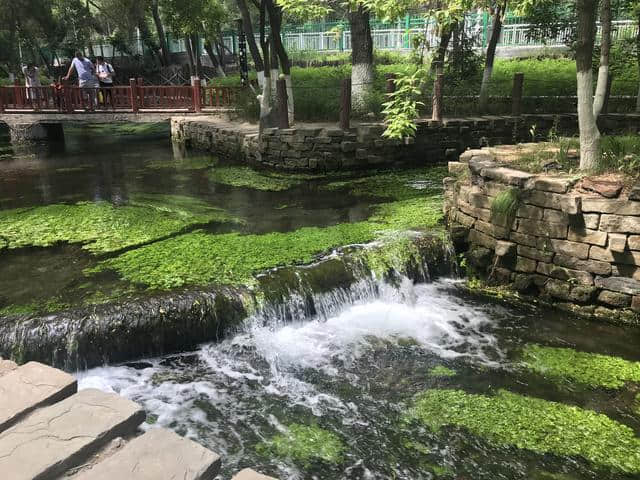 乌鲁木齐市内一日游