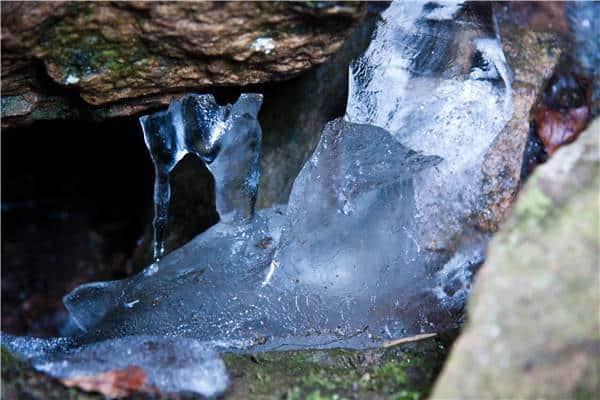 错过野生动物园！秦皇岛一卡通用户注意：这些景点也有时间限制！