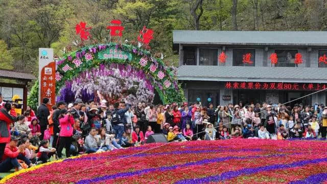 五一期间，老君山的游客好幸运！竟然偶遇“菜棚哥”姚大！