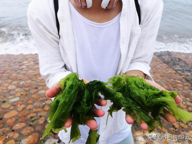 不只有海鲜，来秦皇岛旅行吃喝玩乐十二时辰，原来还能玩得这么嗨