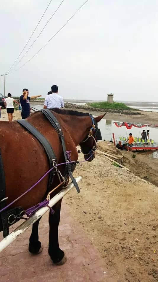 乐亭乡间旅游：变着花样儿来玩的“滦河口渔乐园”