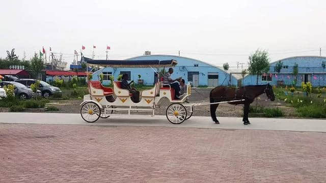 乐亭乡间旅游：变着花样儿来玩的“滦河口渔乐园”