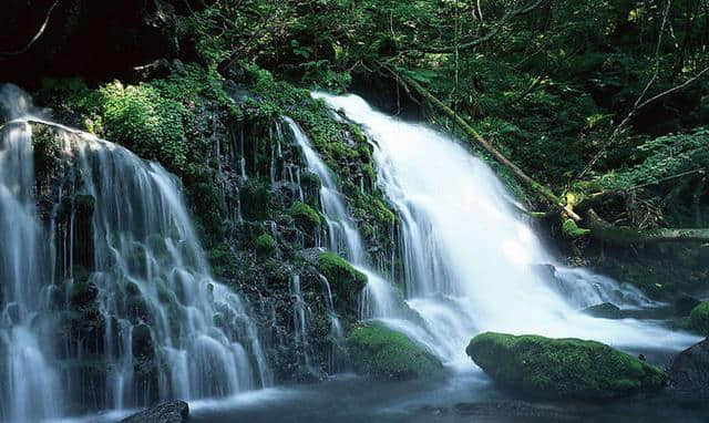 老君山风景区（洛阳栾川老君山、国家AAAAA级旅游景区）