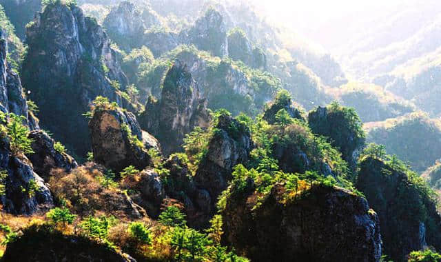 老君山风景区（洛阳栾川老君山、国家AAAAA级旅游景区）