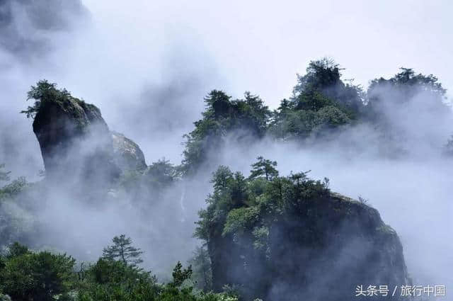 你们要的免费来啦！老君山门票免费！洛栾高速免费！