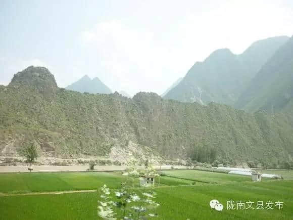 美景这里是陇南文县“阴平八景”，快进来瞧瞧！