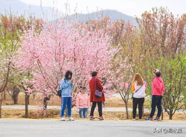 提醒：狼牙山景区暂时关闭，狼牙山万亩田园花海正常营业!