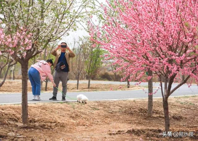 提醒：狼牙山景区暂时关闭，狼牙山万亩田园花海正常营业!