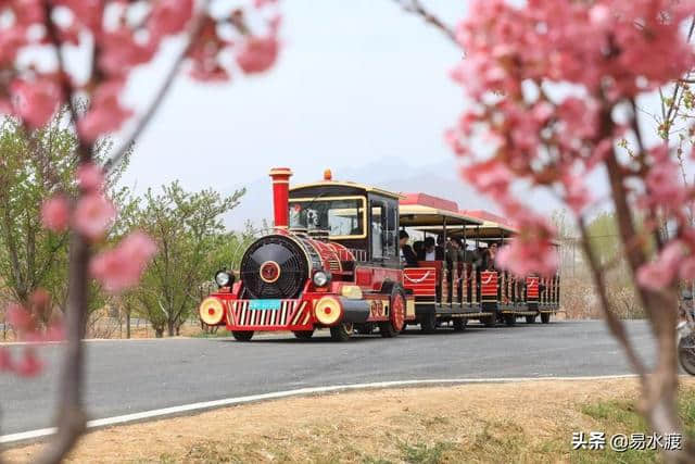 提醒：狼牙山景区暂时关闭，狼牙山万亩田园花海正常营业!