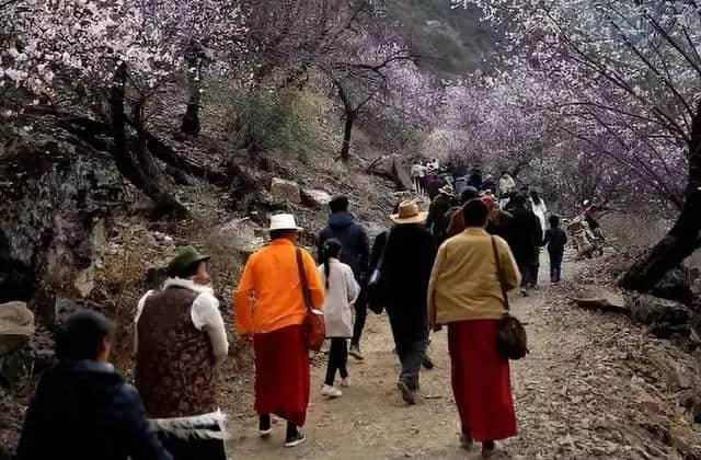 藏乡木里｜4月1日，东朗乡将举办贡巴拉梅朵旅游文化节！