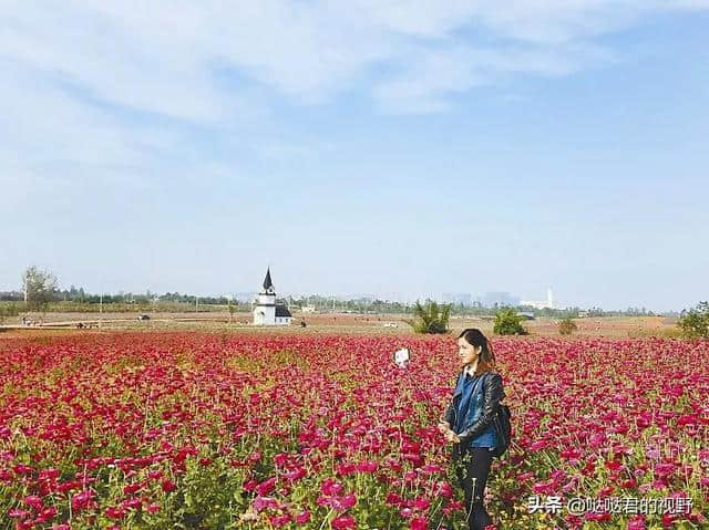 乐山高考生中考生！带上准考证，四川这些景点免费耍