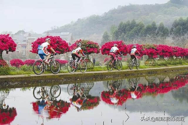 乐山高考生中考生！带上准考证，四川这些景点免费耍