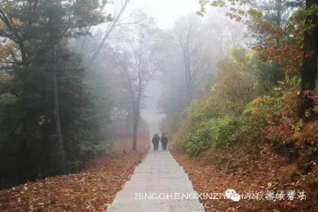 朗乡万松岩的秋天，美的不要不要的