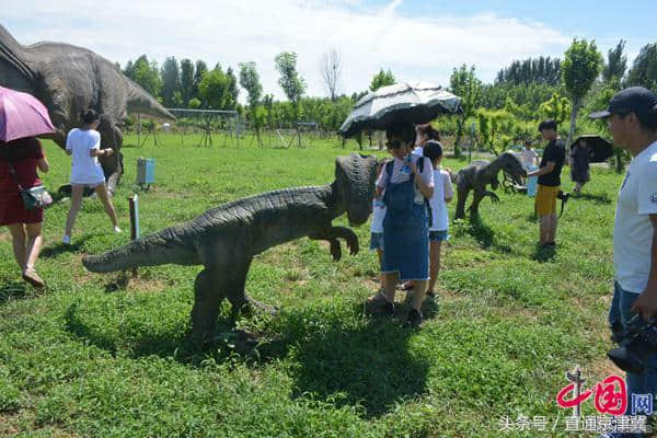 廊坊组织开展“走进运河风情体验区”旅游推介活动