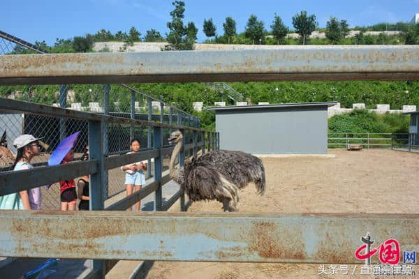 廊坊组织开展“走进运河风情体验区”旅游推介活动