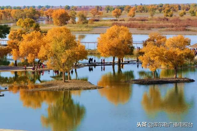 巴州15条精品旅游线路出炉！每一条都让你想走一遍！