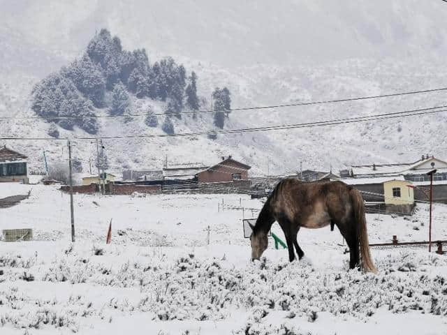 今天立夏第三天，金色大漠摄影团在郎木寺奇遇大雪，极美