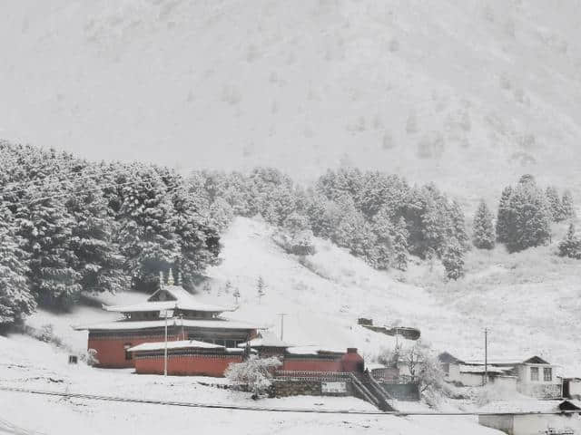 今天立夏第三天，金色大漠摄影团在郎木寺奇遇大雪，极美