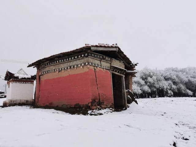 今天立夏第三天，金色大漠摄影团在郎木寺奇遇大雪，极美