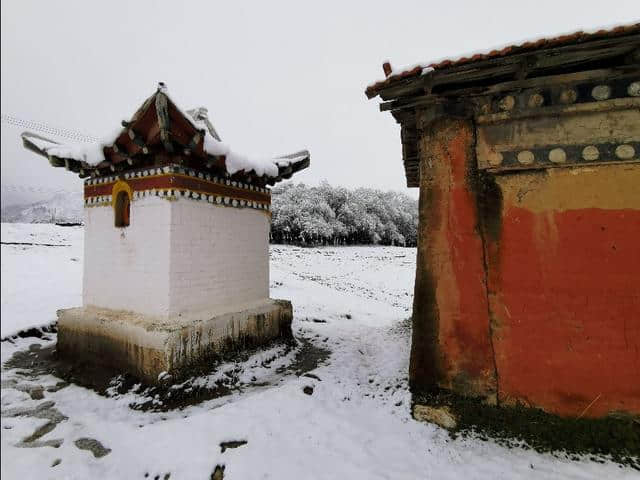 今天立夏第三天，金色大漠摄影团在郎木寺奇遇大雪，极美