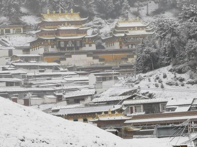 今天立夏第三天，金色大漠摄影团在郎木寺奇遇大雪，极美