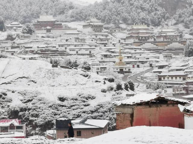 今天立夏第三天，金色大漠摄影团在郎木寺奇遇大雪，极美