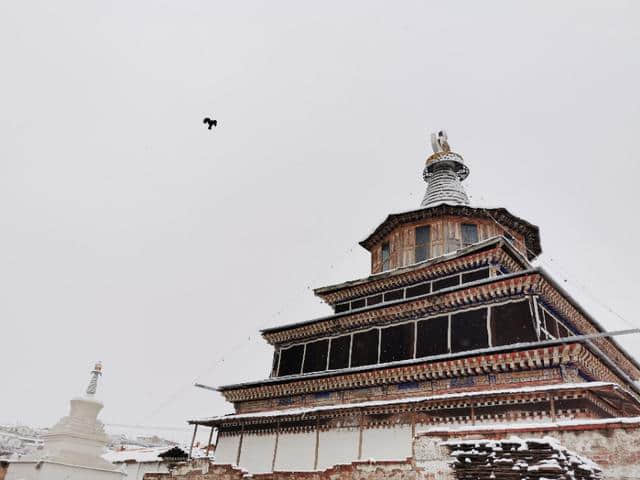 今天立夏第三天，金色大漠摄影团在郎木寺奇遇大雪，极美