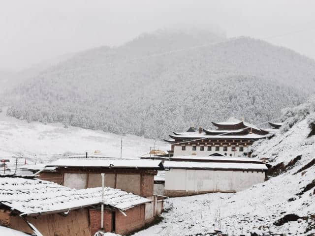 今天立夏第三天，金色大漠摄影团在郎木寺奇遇大雪，极美