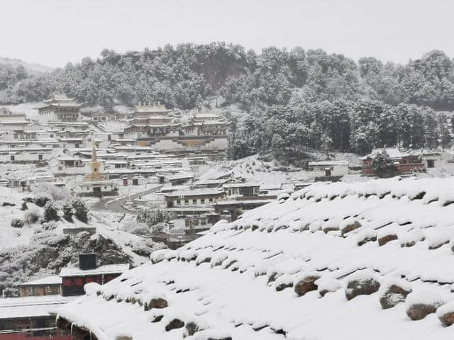 今天立夏第三天，金色大漠摄影团在郎木寺奇遇大雪，极美