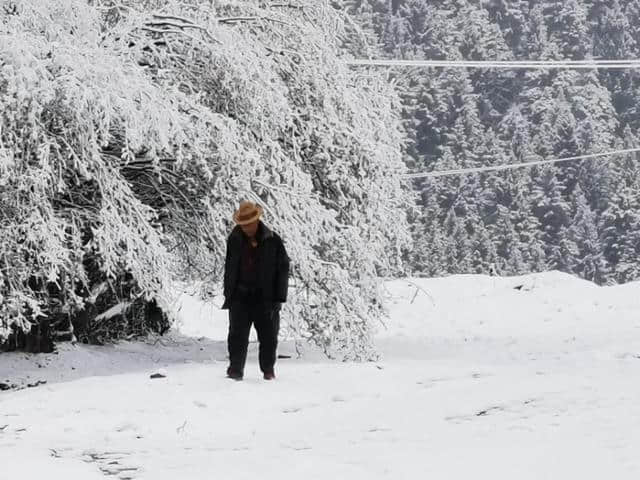 今天立夏第三天，金色大漠摄影团在郎木寺奇遇大雪，极美