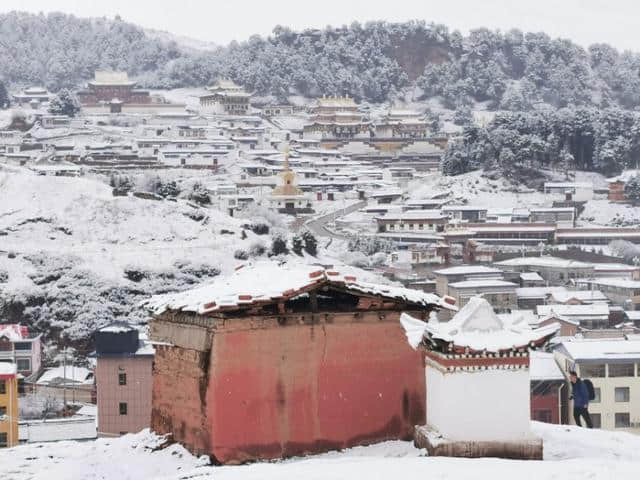 今天立夏第三天，金色大漠摄影团在郎木寺奇遇大雪，极美