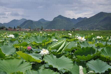 绝美昆明周边景点旅行攻略