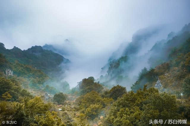 「文化」河北保定涞源 美哉！白石山 旅游散文随笔