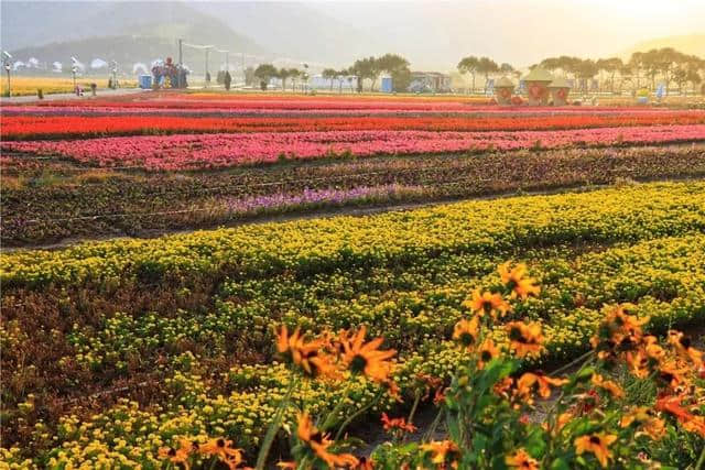 太厉害了！普陀“颜值”在全省出名！这四个示范乡镇功不可没~