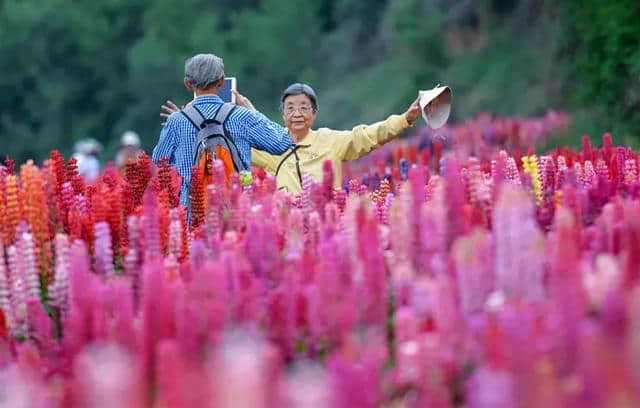 有一种旅行 叫“去兰州打卡”