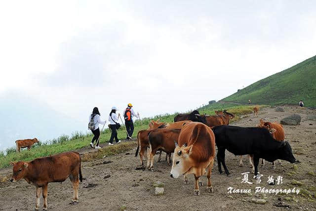 “赣南第一峰”——齐云山，来一次说走就走的旅行